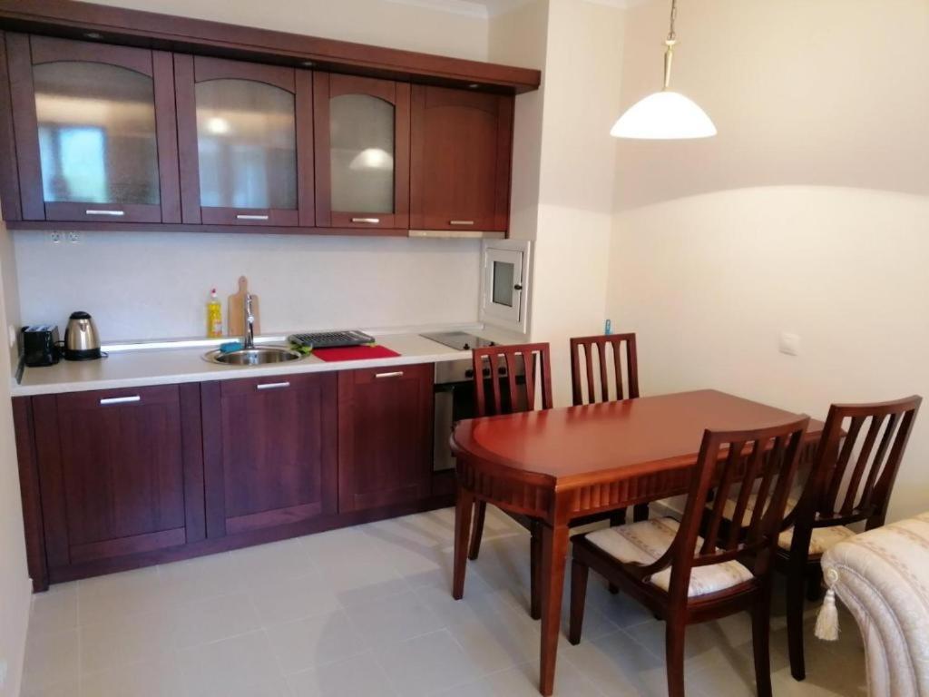 Downtown Luxury Private Apartments Bansko Buitenkant foto